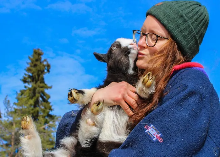 Aamiaismajoitus Ajakka 3*